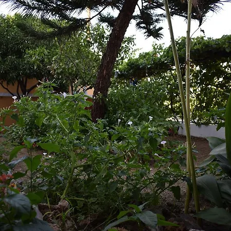 Casa de hóspedes Argyro Rent Kritsá